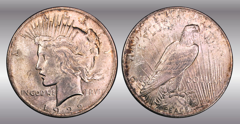 My-Raw-Peace-Dollar-Collection.-.-.-.-Warning!